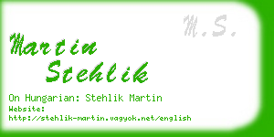 martin stehlik business card